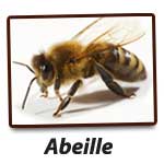 Abeille G.S.E.I Jean Ricard Exterminateur