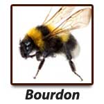 Bourdon G.S.E.I Jean Ricard Exterminateur