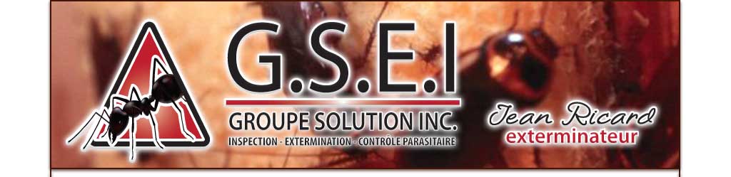 exterminateur shawinigan trois-rivieres