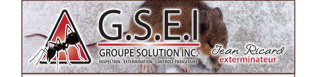 exterminateur shawinigan trois-rivieres